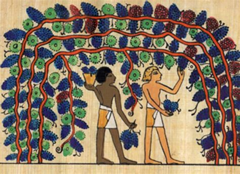  Journey into Gardening: Unveiling the Secrets of Ancient Egyptian Horticulture!