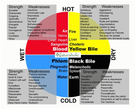 Your Body, Your Guide: A Practical Approach to Traditional Iranian Medicine Unveiling Ancient Wisdom for Modern Wellness!